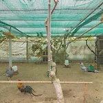 펜션 Araujo 111 - Traditional House *