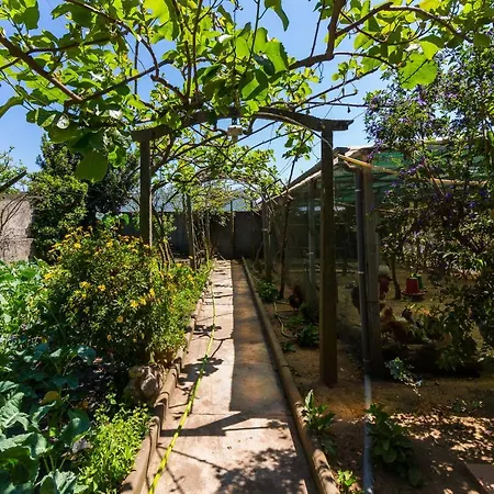 Holiday home Araujo 111 - Traditional House *