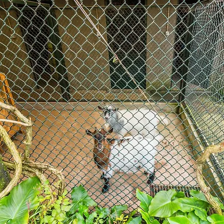 Araujo 111 - Traditional House 度假居