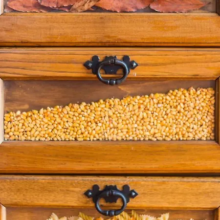 Holiday home Araujo 111 - Traditional House Leca do Balio