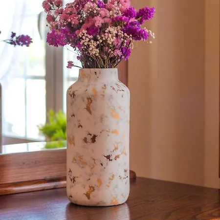 Araujo 111 - Traditional House Holiday home Leca do Balio