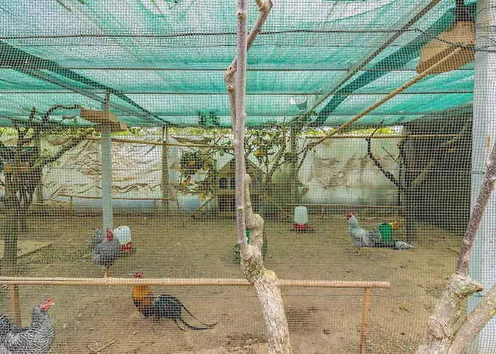 Casa vacanze Araujo 111 - Traditional House *