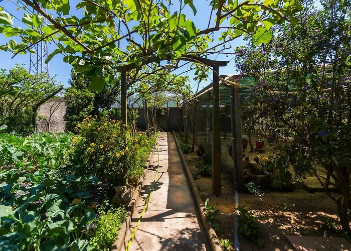 Casa vacanze Araujo 111 - Traditional House *