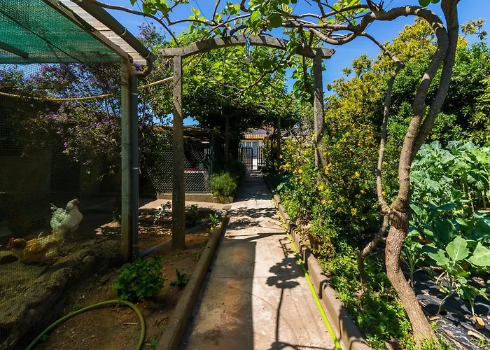 Araujo 111 - Traditional House Feriehus