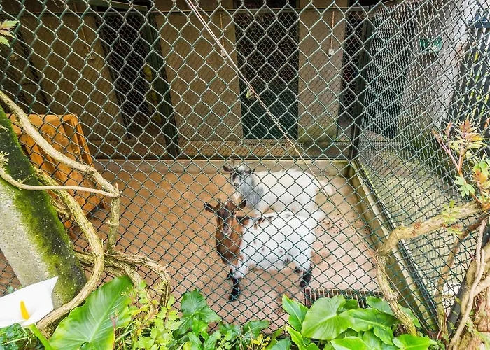 Araujo 111 - Traditional House Feriehus