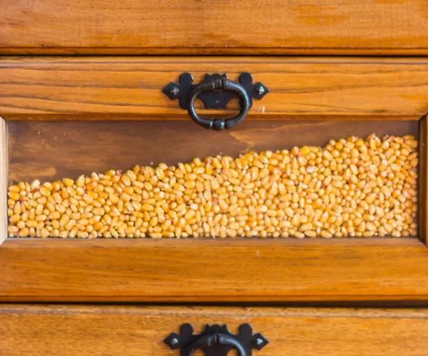 Casa vacanze Araujo 111 - Traditional House Leca do Balio