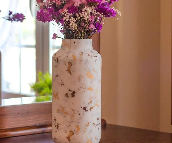 Araujo 111 - Traditional House Casa vacanze Leca do Balio